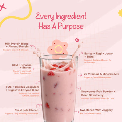 Champfuel Smart Daily Nutritional Drink Mix 10+ (Berryboost)