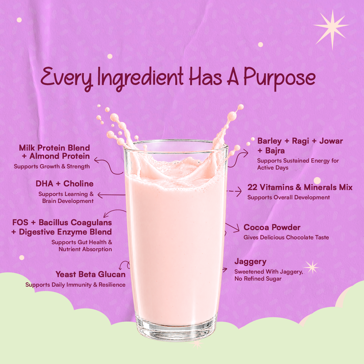 CHAMPFUEL BALANCED DAILY NUTRITION DRINK MIX 2+ (Assorted)