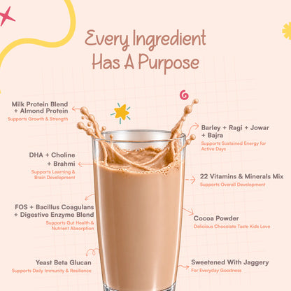 Champfuel Active Daily Nutrition Drink Mix 5+ (Chocoboost)