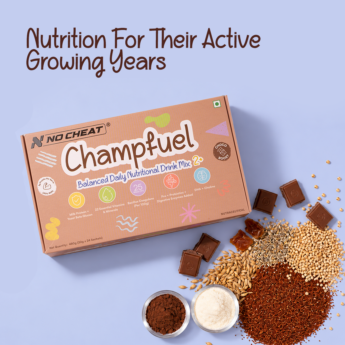 CHAMPFUEL BALANCED DAILY NUTRITION DRINK MIX 2+ (CHOCOBOOST)