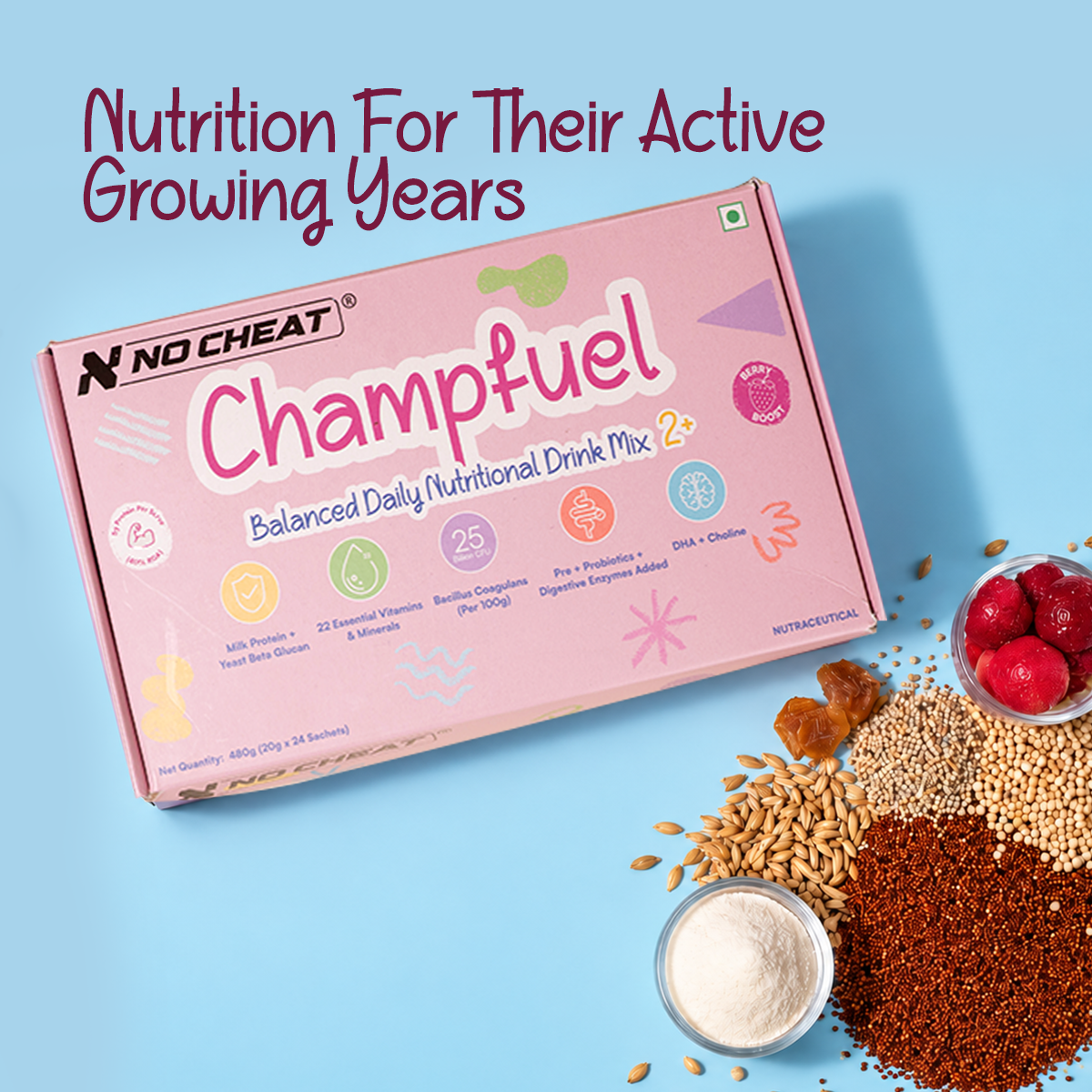 CHAMPFUEL BALANCED DAILY NUTRITION DRINK MIX 2+ (BERRYBOOST)