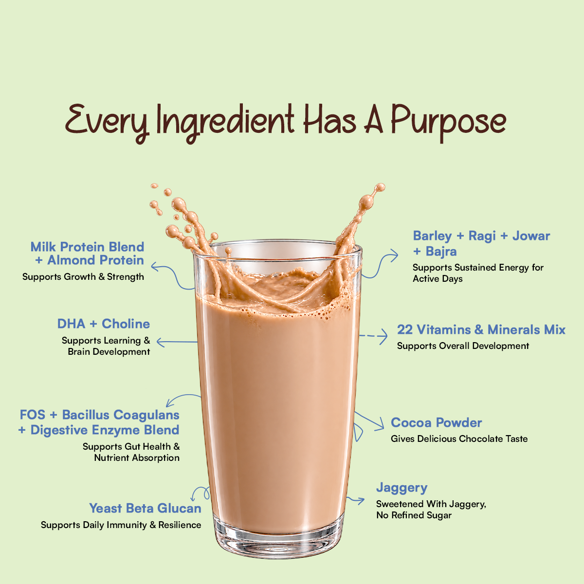 CHAMPFUEL BALANCED DAILY NUTRITION DRINK MIX 2+ (CHOCOBOOST)