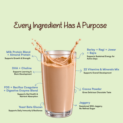 CHAMPFUEL BALANCED DAILY NUTRITION DRINK MIX 2+ (CHOCOBOOST)