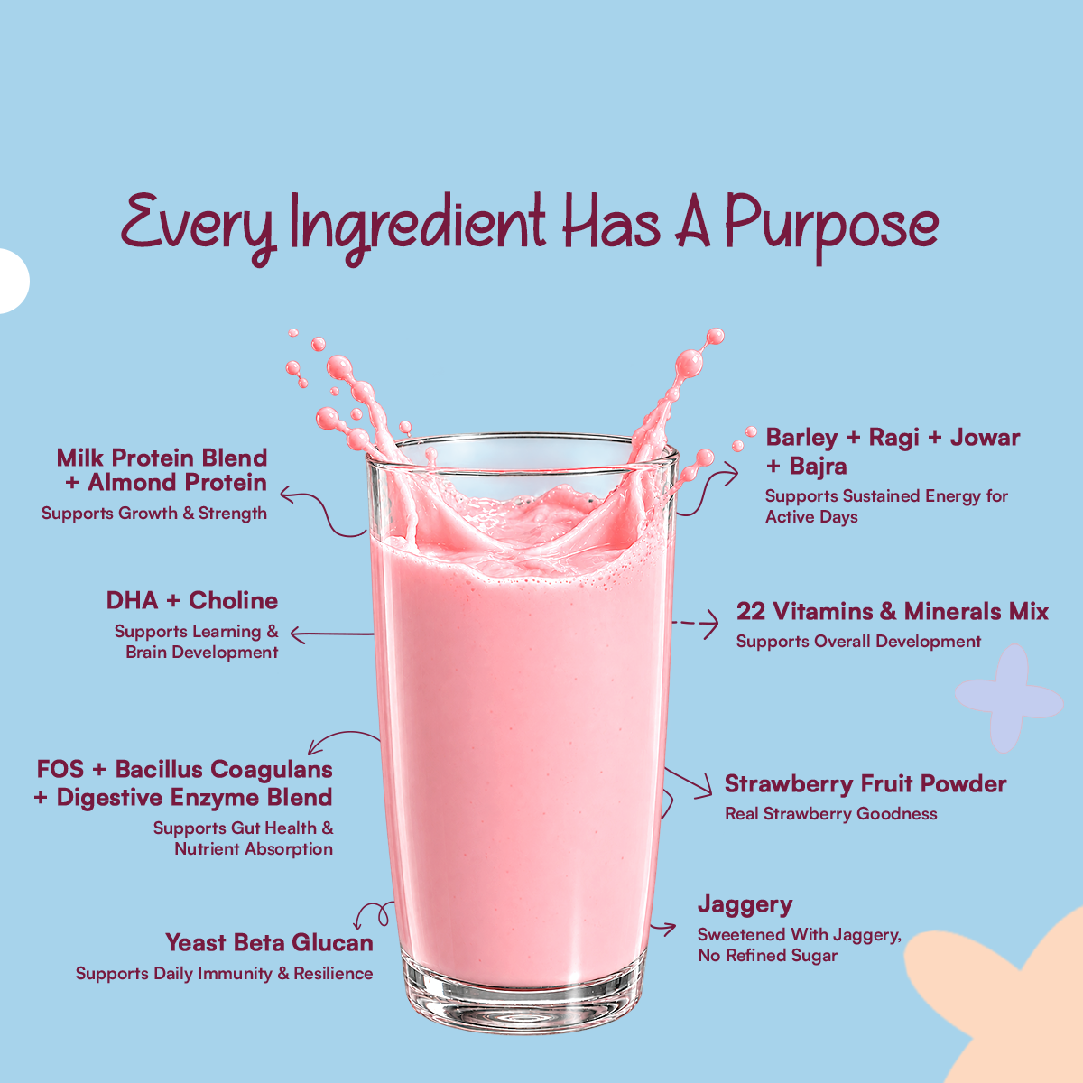 CHAMPFUEL BALANCED DAILY NUTRITION DRINK MIX 2+ (BERRYBOOST)