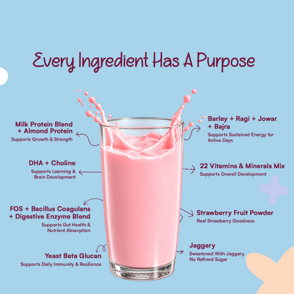 CHAMPFUEL BALANCED DAILY NUTRITION DRINK MIX 2+ (BERRYBOOST)