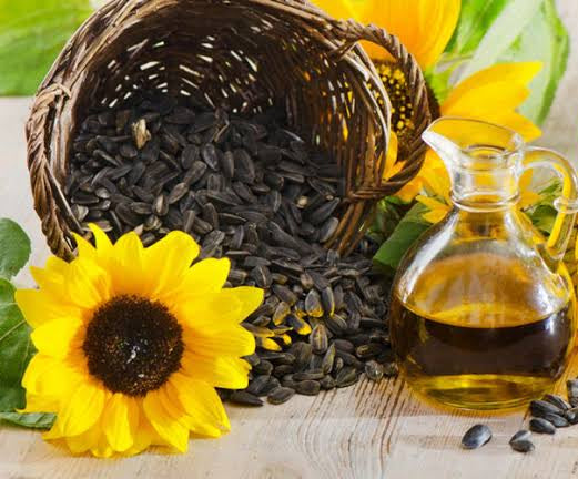 High Oleic Sunflower Oil Powder